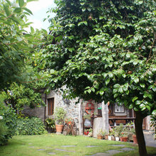Jardín de la semana: Una finca repleta de historias en Asturias