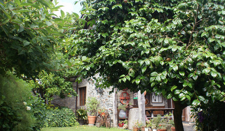 Jardín de la semana: Una finca repleta de historias en Asturias