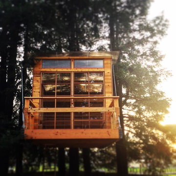 Petaluma Treehouse