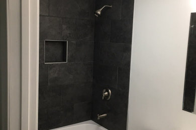Inspiration for a bathroom remodel in DC Metro