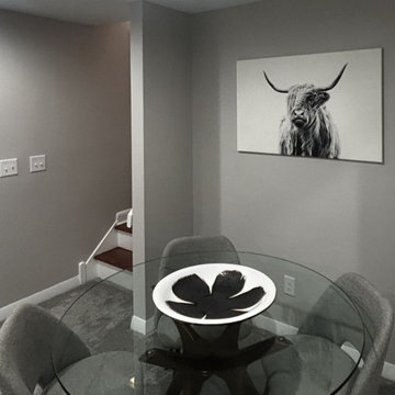 Basement Living Spaces