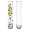 Glass Cylinder Vase. 24", Open 4", Set of Six Wedding Centerpieces