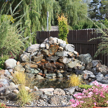 Water Features & Ponds