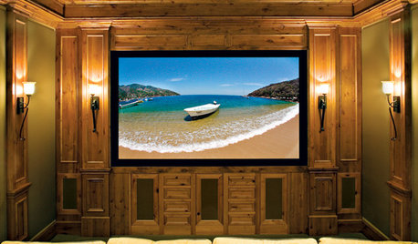 Media Rooms On Houzz Tips From The Experts 5 Tips To Turn Your Bat Into A Media Room