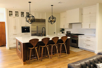 Kitchen - contemporary kitchen idea in Austin