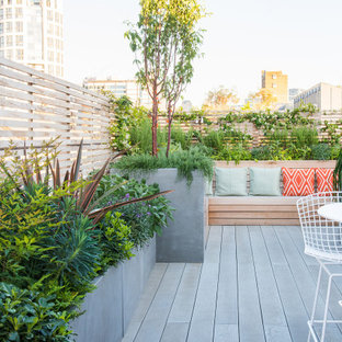 Inspiration for a contemporary roof terrace and balcony in London with no cover.