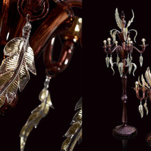 Roberto Cavalli Home