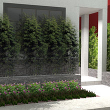 Renderings
