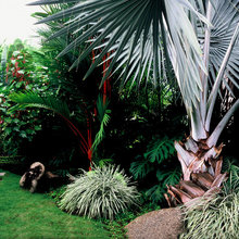 Outdoor Landscape