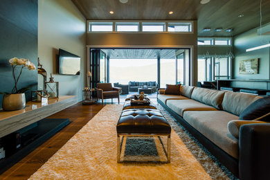 Living room - modern living room idea in Other