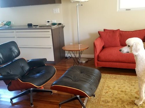 Orange Sofa Living Room Ideas