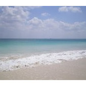 Linda Flewelling's photo