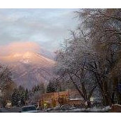 Carol Barnard's photo