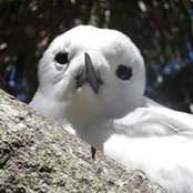 Sandy Mikami's photo
