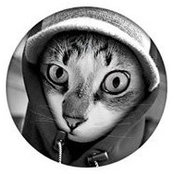 Michał Saganowski's photo