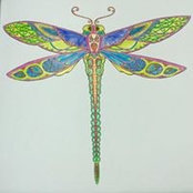 Lynk Nguyen's photo
