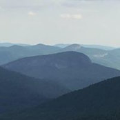 Laurie Long's photo