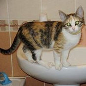Catherine Karpunina's photo