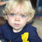 Lori Hofmann's photo