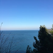 Meike Hager's photo