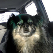 Lee Bullis's photo