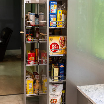 Culinary Canvas, a Kitchen Remodel