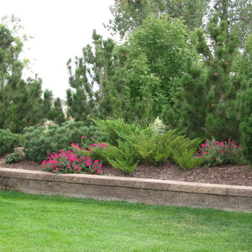 Contemporary Fort Collins Patio - Fort Collins, CO