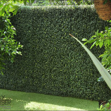 Ranka Lasting Greenery