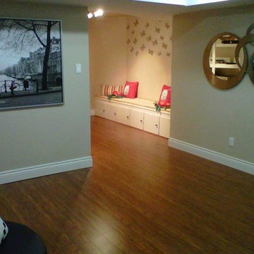 Basement reno