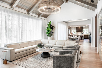 Living room - contemporary living room idea in Orlando