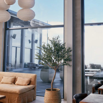 Artificial & Forever Green Plants
