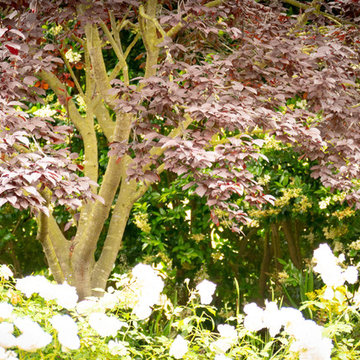 Woodland