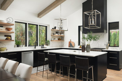 Naperville Black Painted Contemporary Kitchen with Stained Pantry
