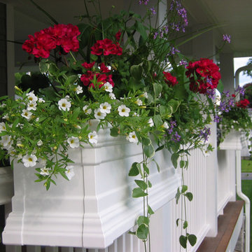 Potted Gardens
