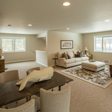 Basement/Family room