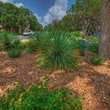 Xeric plantings