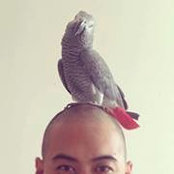 Joe Liu's photo
