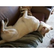 Jake Hall's photo
