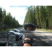 Carroll Pelletier's photo