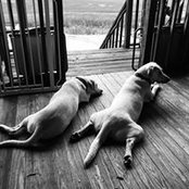 Heather McManus's photo
