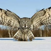 Burt Barnhill's photo