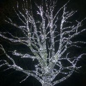 Leanne Goodenough's photo
