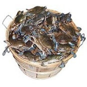 Foto von Ross' Crab House