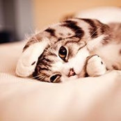 Sohi Kim's photo