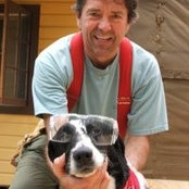 Bob Stoccos billede