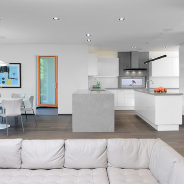 North Toronto Home- Kitchen