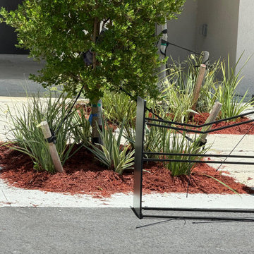 Modern Landscaping and Artificial Turf Design in Miami, FL