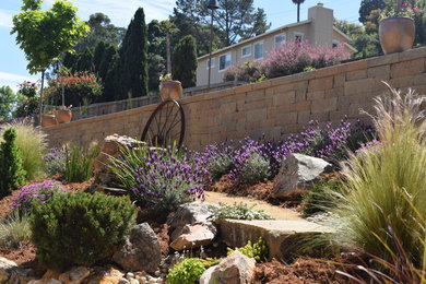 This is an example of a mediterranean landscaping in San Francisco.