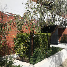 Front garden