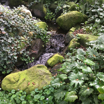 Residential Backyard Water Feature